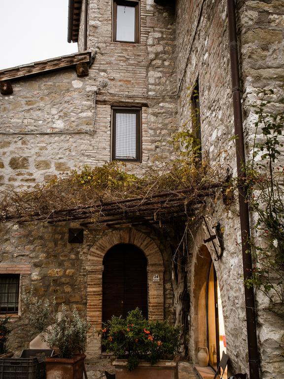 Gasthaus Torre Valbiancara Montebagnolo Exterior foto